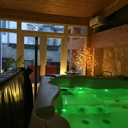 Vulkan Wellness Panzio * Πετς