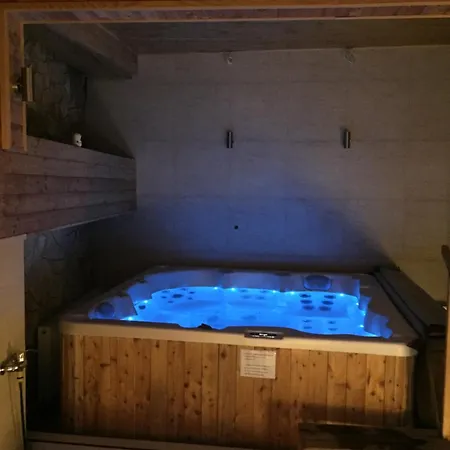 Vulkan Wellness Panzio * Πετς