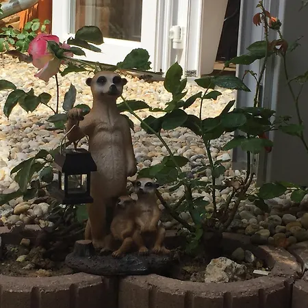 Bed and Breakfast Vulkan Wellness Panzio