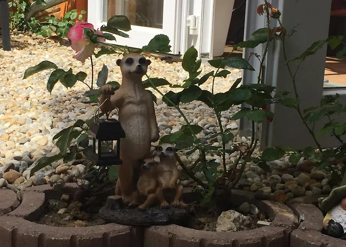 B&B Vulkan Wellness Panzio